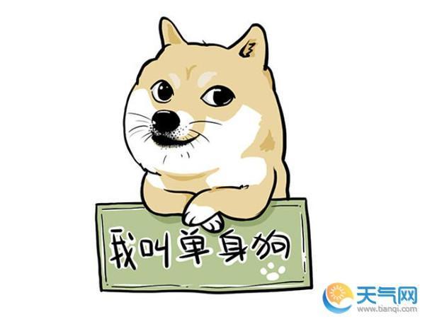 光棍节单身狗搞笑说说 光棍节单身狗搞笑说说