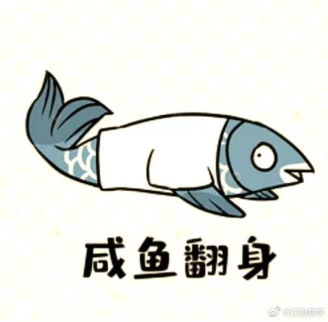 咸鱼翻不了身会怎么办