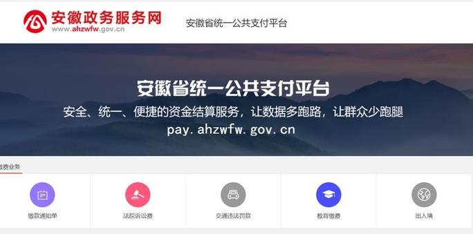 安徽省统一公共支付平台网