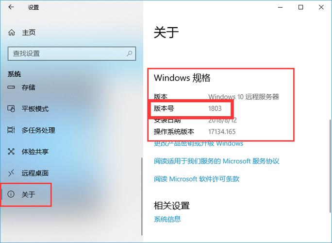 正确版本是什么意思