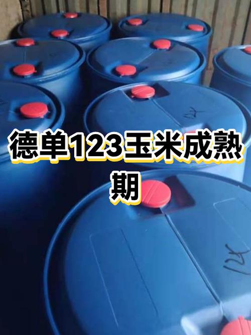德单123广告