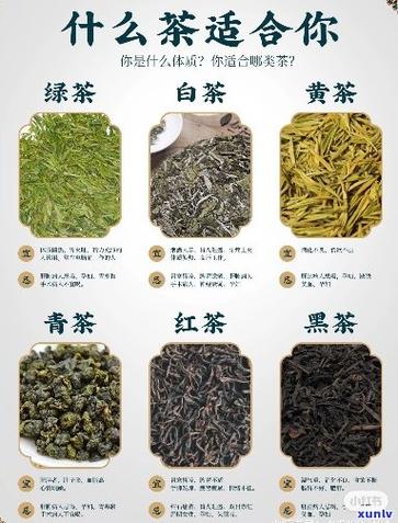 茶叶的种类名称大全截图1