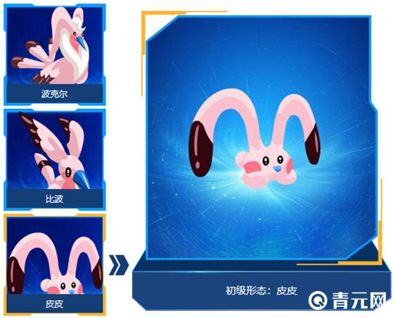 皮皮的进化三种形态