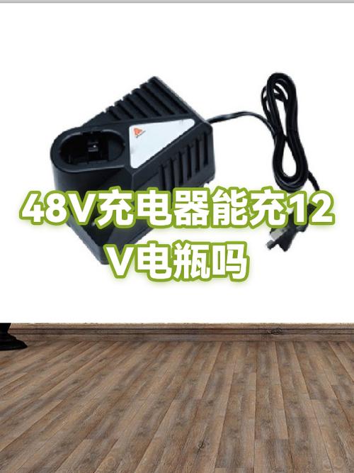 48v充电器能充12v电瓶吗