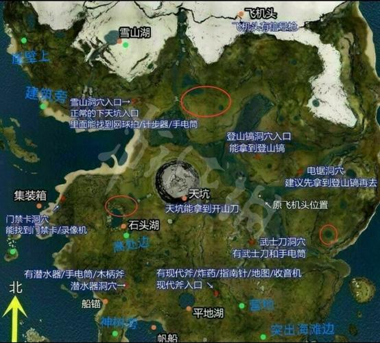 森林的地图在哪里拿截图2