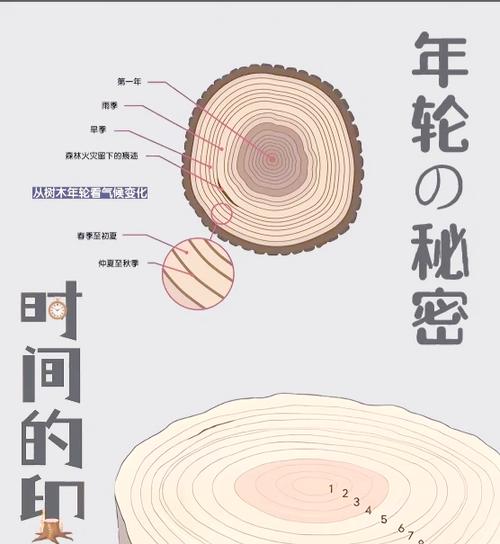 党旗哪一年确定的