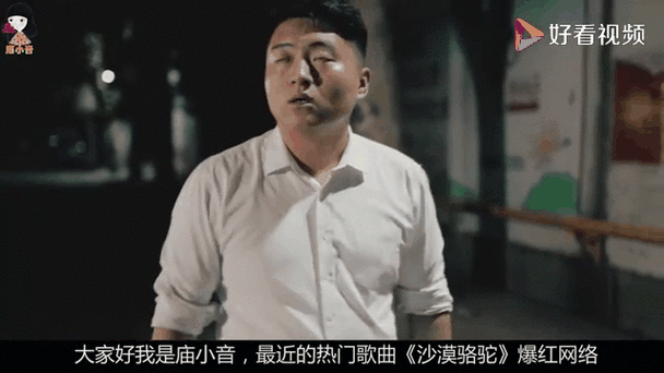 沙漠骆驼各种翻唱版本