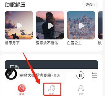 tt语音的ip属地在哪里查询