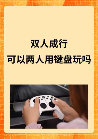 双人成行可以两人用键盘玩吗