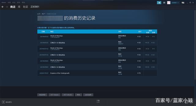 steam账户明细截图2