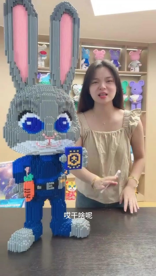 小马当当积木拼装视频
