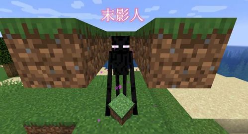末影人可以搬运哪些方块截图3