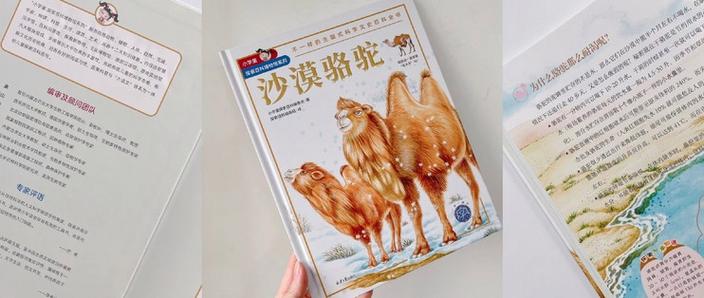 《沙漠骆驼》学生版 《沙漠骆驼》学生版