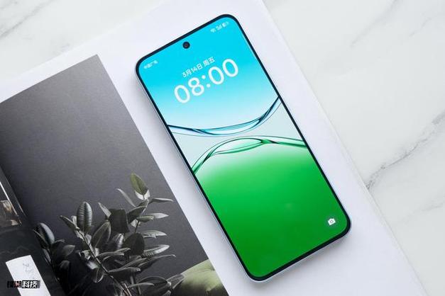 oppoa5是不是快充截图3