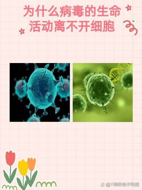 病毒如何获得能量