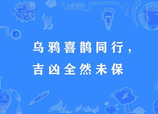 24小时喜鹊叫吉凶查询表