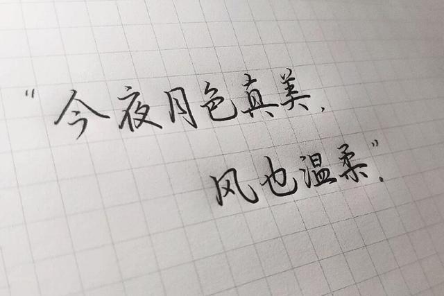 月亮是你我是你的潮汐歌词