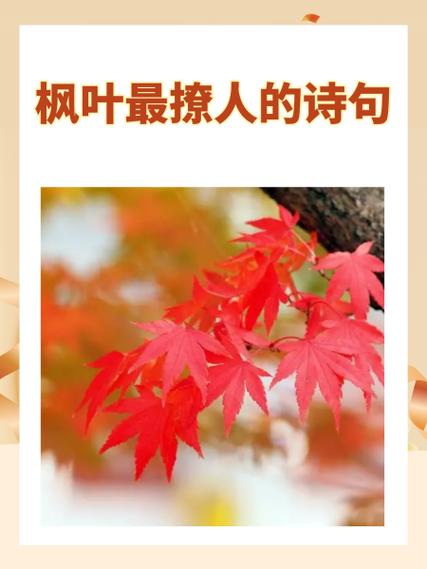 红色寓意唯美的句子