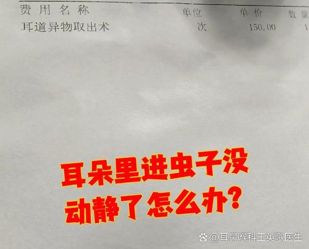 耳朵里进虫子没动静了截图1