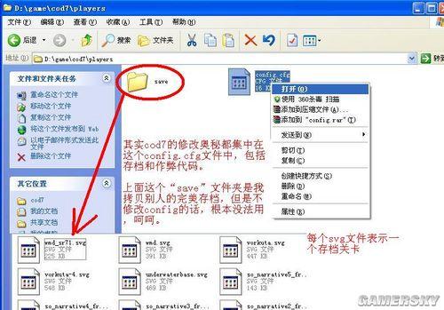 使命召唤存档怎么导入截图3
