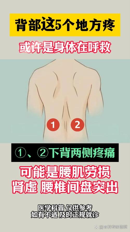 女人腰椎疼是什么原因