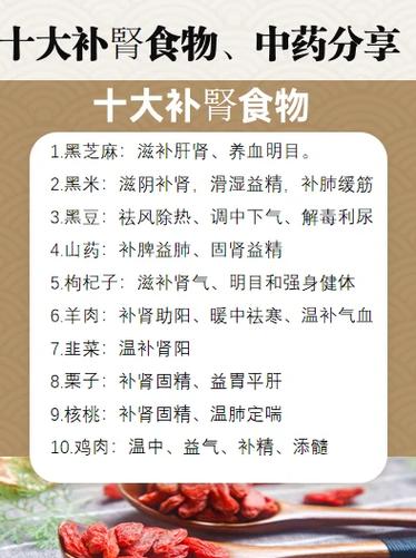 男生吃什么最补肾补精