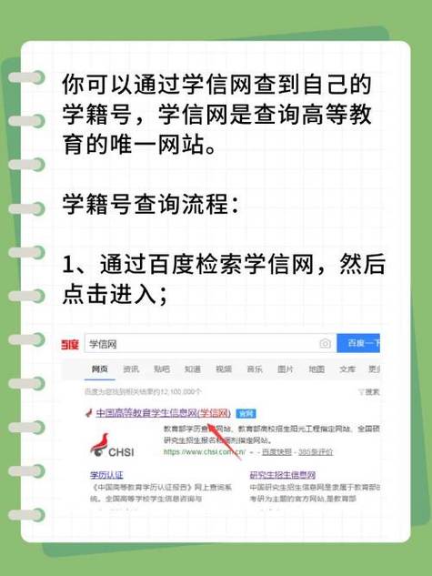 如何知道自己的学籍号