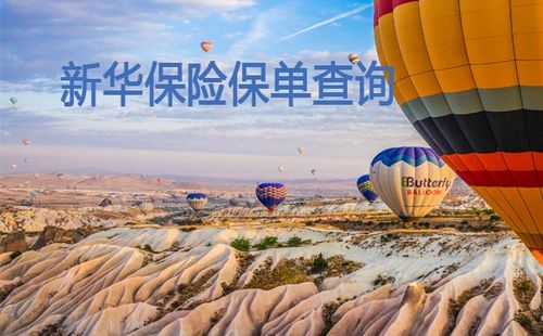 新华保险保单查询入口