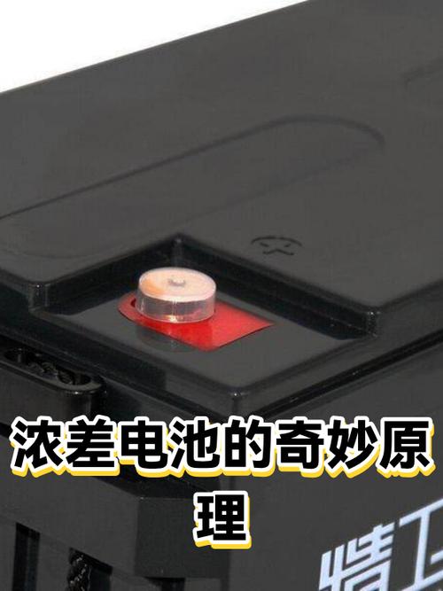 浓差电池的反应原理