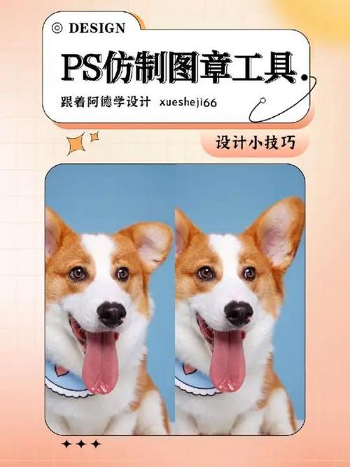 仿制图章工具怎么使用