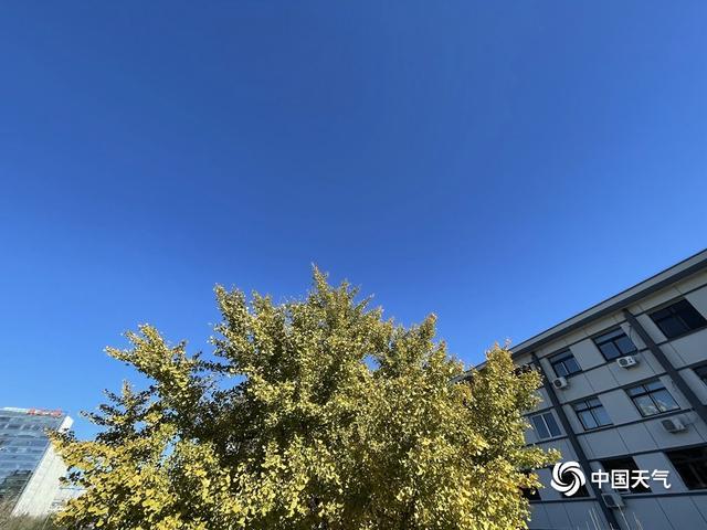 真正没有广告的天气预报软件