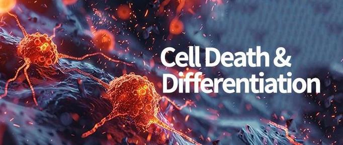 death cell