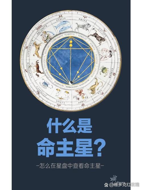 金神格是几等命截图2