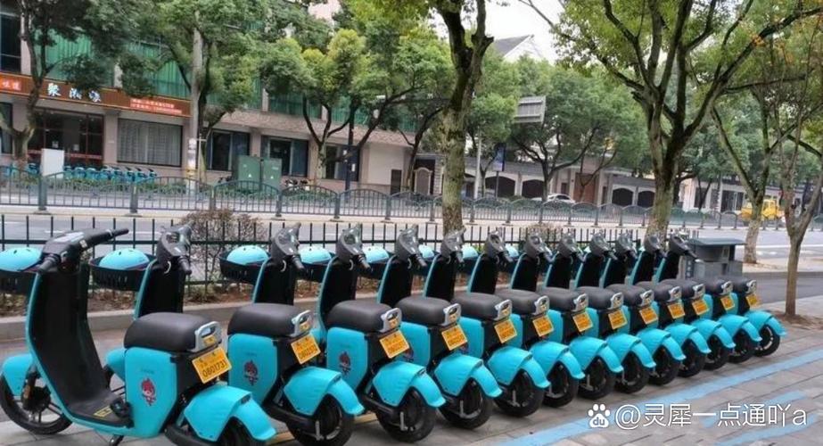 松果出行是什么