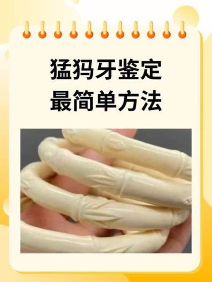 辨别猛犸象牙真假简单