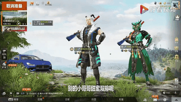 和平精英双排是什么意思