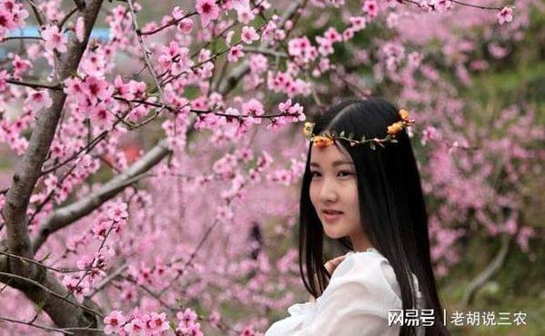 桃之夭夭暗示女人什么