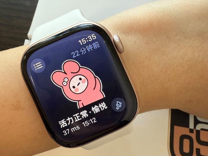 苹果手表已连接,但微信无法提醒截图3