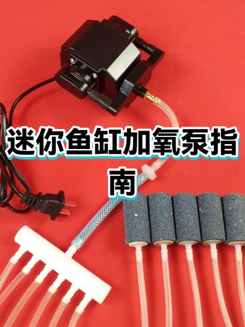 小型鱼缸氧气泵怎么安装