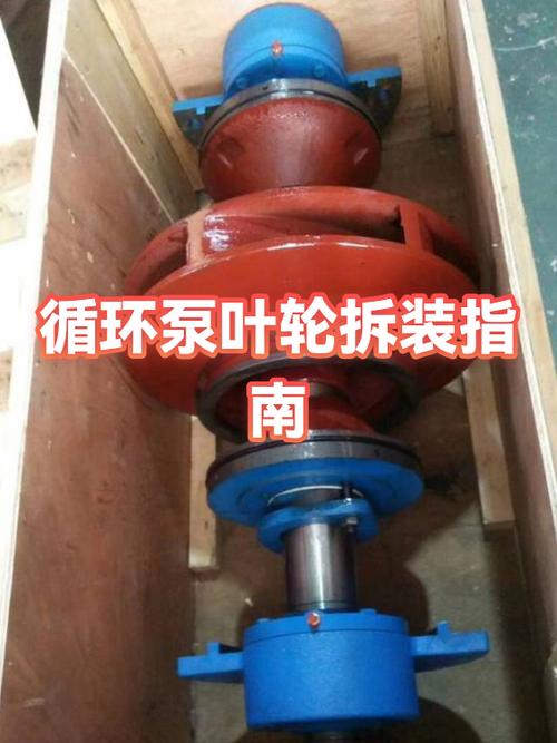 循环泵的拆卸视频
