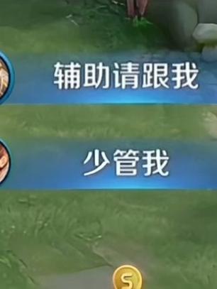 辅助跟谁走