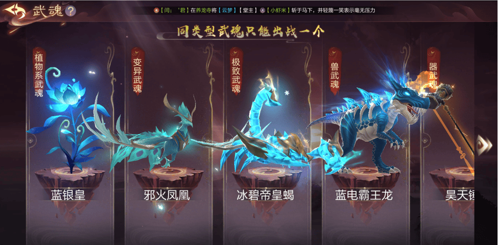 十二个顶级防御武魂截图3