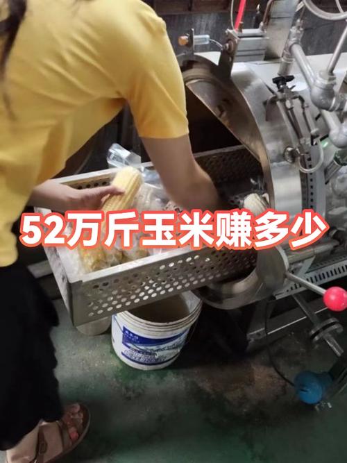 卖玉米一天可以赚多少钱