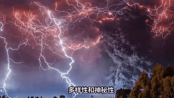 闪电超清直播能回看吗