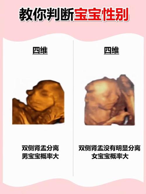 四维图片怎么看男孩女孩