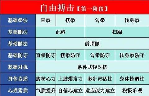 格斗技术怎么打拳才能用力最大