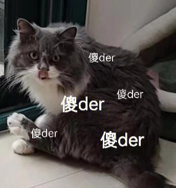 女孩叫你傻der是什么意思