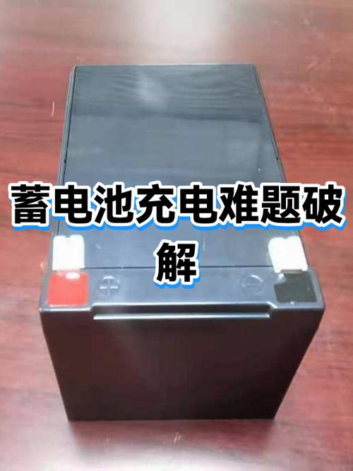 为什么充电器充不进电了