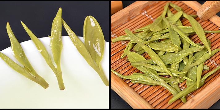 浙江绿茶有几个品种