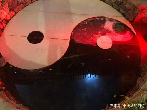 一个道士肩上有只狐狸截图2